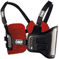 Carbon rib protector karting